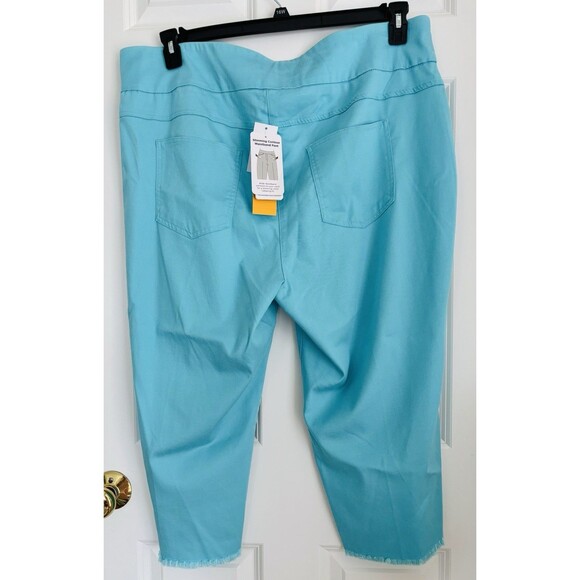 RUBY RD. WOMENS PANTS CAPRI SPRING OASIS SIZE 20W ELASTIC WAISTBAND PULLON DEMIN - Picture 3 of 10